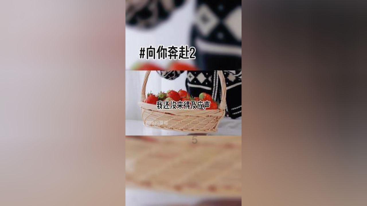 金刚鹦鹉逃生
