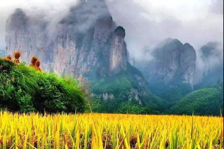 五彩泡泡