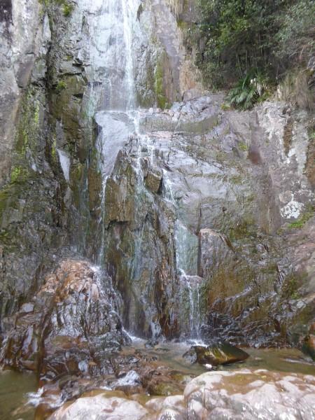 一顿浪漫晚餐