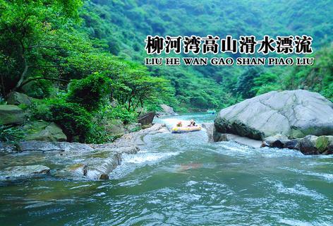 蓝狐视频