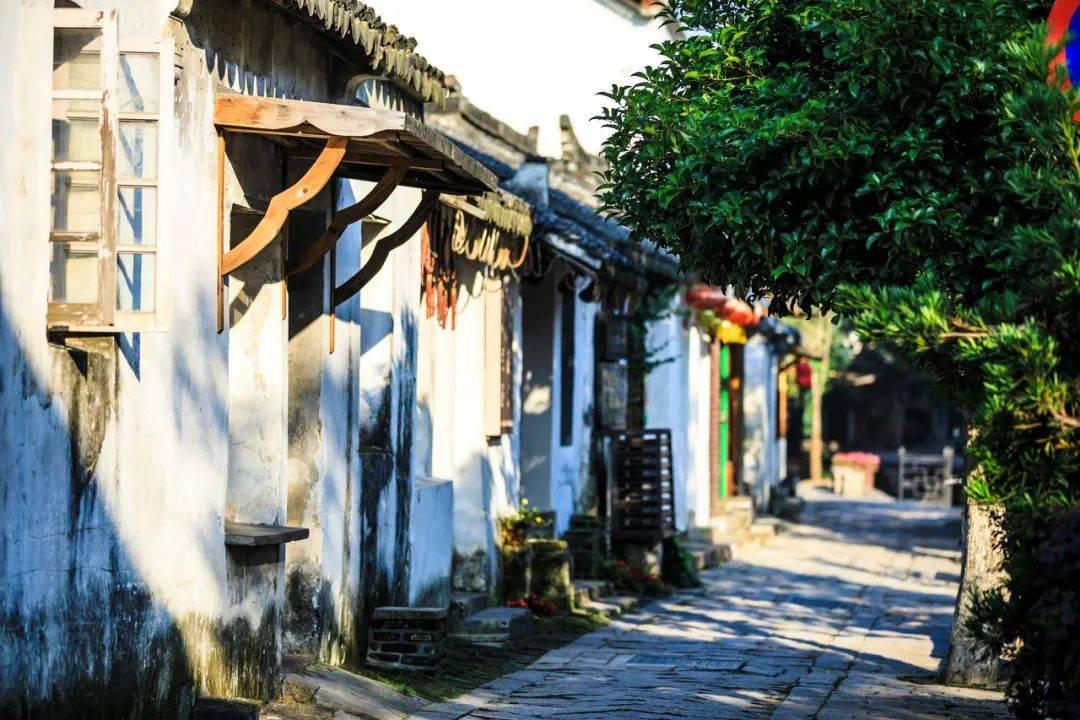【风口解读】新品提升销售业绩+饰面板打开市场，华立股份2023年扣非净利预增超85%